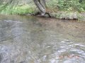 camp 05-17-13 014